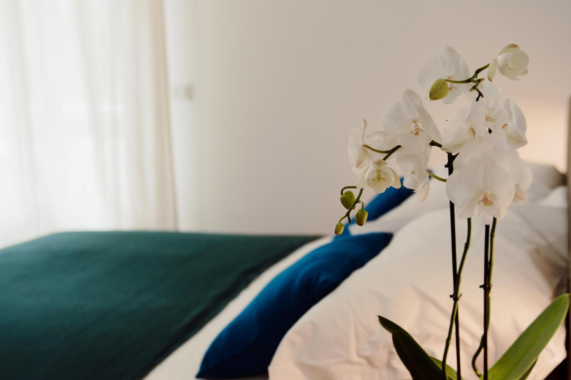 Hotel Sweet Dreams Civitavecchia Exterior foto